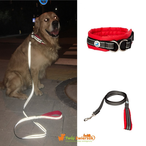 All For Dogs obroża dla psa odblaskowa Żółta S All For Dogs obroża dla psa odblaskowa Żółta S