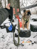 All For Dogs smycz sportowa z rączką + GRATIS