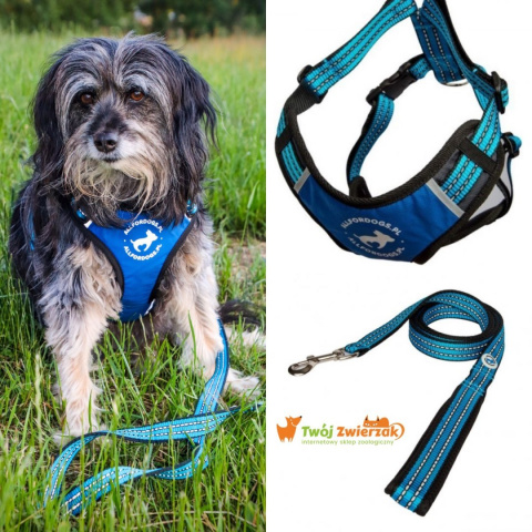 All For Dogs Sportowe szelki odblaskowe dla psa rozm. L Niebieski All For Dogs Sportowe szelki odblaskowe dla psa rozm. L Niebieski